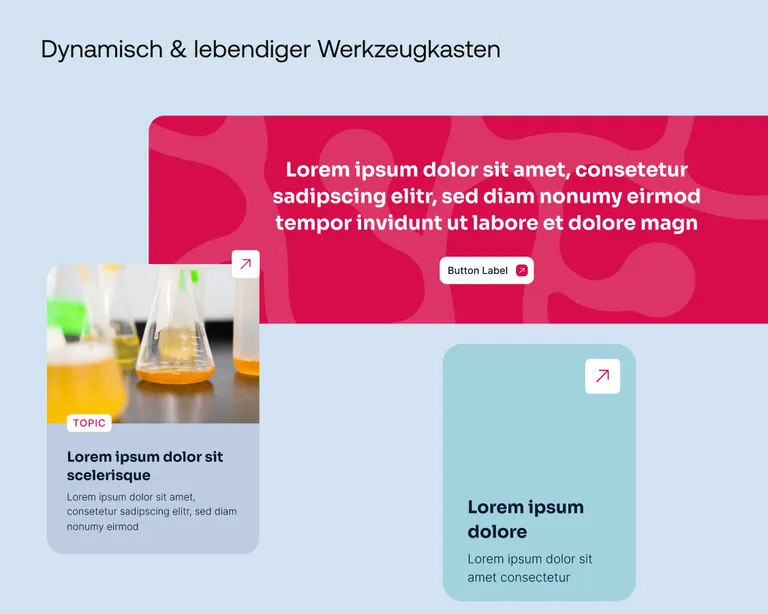 Wagtail Blöcke der Swiss Dementia Network Website