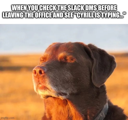 Hund geniesst die Sonne, Text über Slack-Nachricht vom Chef vor Feierabend Brauner Hund mit geschlossenen Augen im Sonnenlicht, wirkt entspannt; oben Text über Slack-DMs beim Verlassen des Büros.