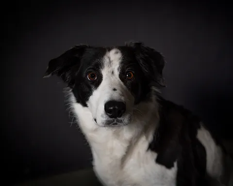 Kira