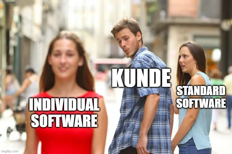 Ein Mann mit dem Label "Kunde" schaut eine Frau mit "Individual Software" an, während eine andere Frau mit "Standard Software" empört schaut.